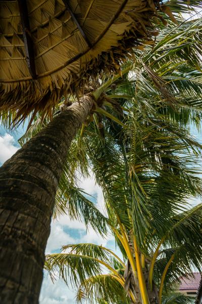 和正 (49) 名古屋 萬天堂 / 出張性感マッサージ