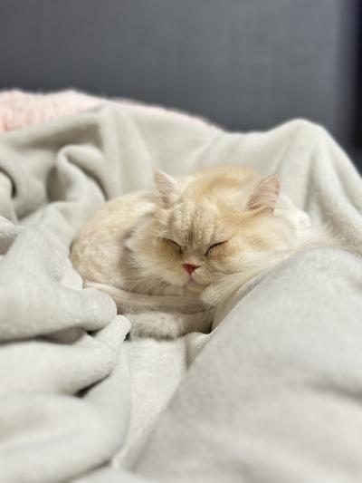 佑鳳 (30) 下関 萬天堂 / 出張性感マッサージ