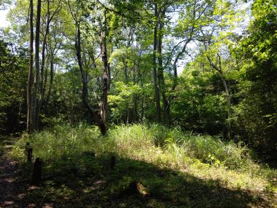 やらないよりは…！？ タカシ (46) 香川県（出張性感マッサージ