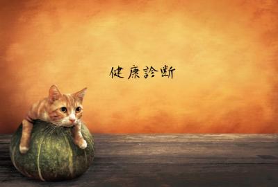 無題 MIYABI (40) 長野県（出張性感マッサージ