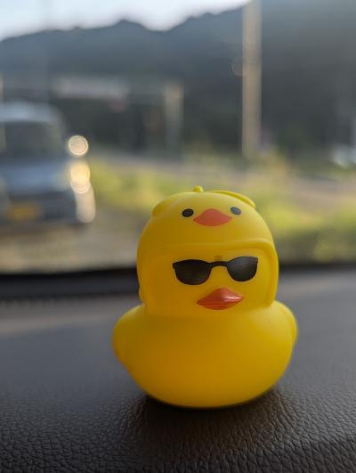 ツイキャスやるゾ＼＼\\٩( 'ω' )و //／／ Vivi (33) 福岡県（出張性感マッサージ