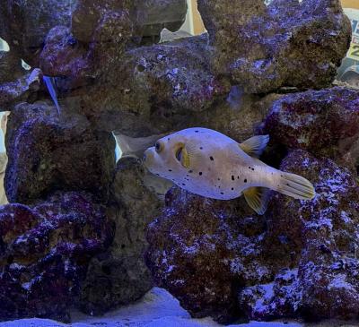 水が好き （10/23） ゆうあ (32) 愛知県（出張性感マッサージ