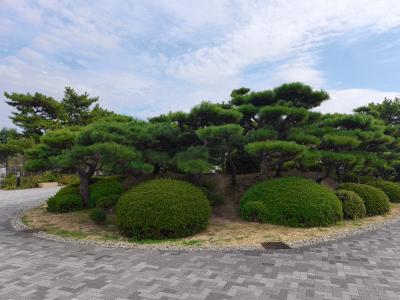 人事考課の季節が… タカシ (46) 香川県（出張性感マッサージ