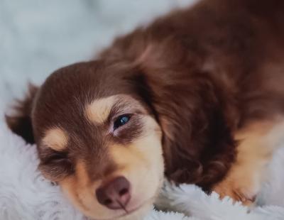 おはようございます、平政です。 平政 (45) 広島県（出張性感マッサージ