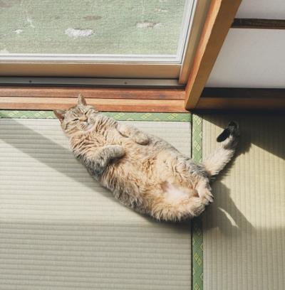 無題 MIYABI (40) 長野県（出張性感マッサージ