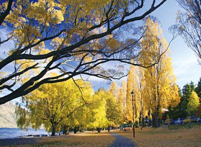 静けさの奥にある秋めく畔 恭介 (48) 京都府（出張性感マッサージ