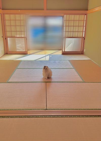 のんびり 佑鳳 (30) 山口県（出張性感マッサージ