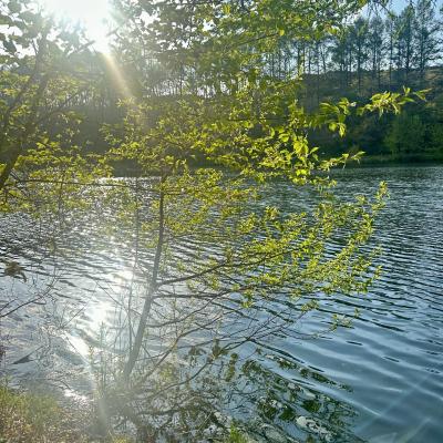 今日はちょっとした冒険日和 明咲 (25) 長野県（出張性感マッサージ