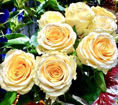 賢人 (32) 大宮 萬天堂 / 出張性感マッサージ