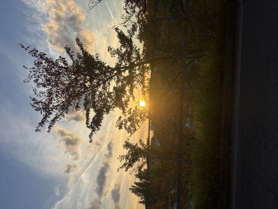 レイン (29) 大阪 萬天堂 / 出張性感マッサージ