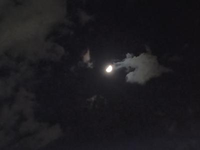 ハロウィンマッピング！？✨ タカシ (46) 香川県（出張性感マッサージ