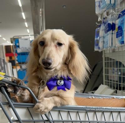 風羽 (34) 京都 萬天堂 / 出張性感マッサージ