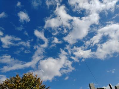 11月になりました☺️ はんにゃ (39) 東京都（出張性感マッサージ