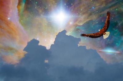 龍生 (47) 大宮 萬天堂 / 出張性感マッサージ