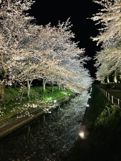 慶次 (46) 四日市 萬天堂 / 出張性感マッサージ