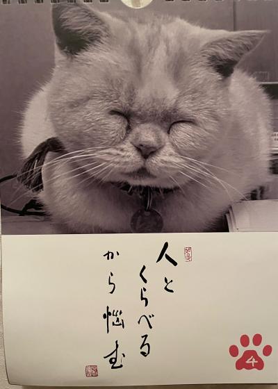 無題 静 (60) 愛知県（出張性感マッサージ