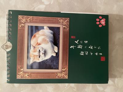 無題 静 (60) 愛知県（出張性感マッサージ