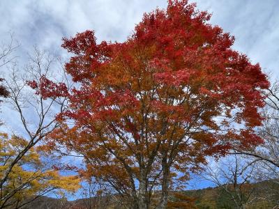 輝 (44) 郡山 萬天堂 / 出張性感マッサージ