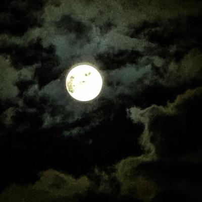 哲也 (51) 福岡 萬天堂 / 出張性感マッサージ