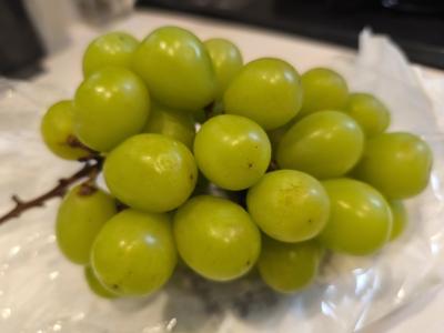 タカシ (46) 高松 萬天堂 / 出張性感マッサージ