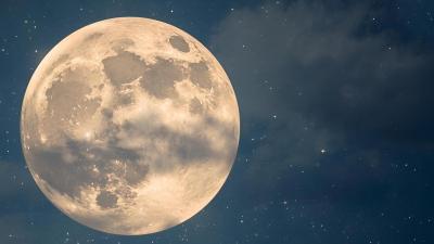 陵 (42) 長崎 萬天堂 / 出張性感マッサージ