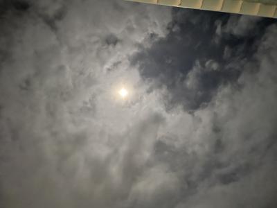 サトル (49) 神戸 萬天堂 / 出張性感マッサージ