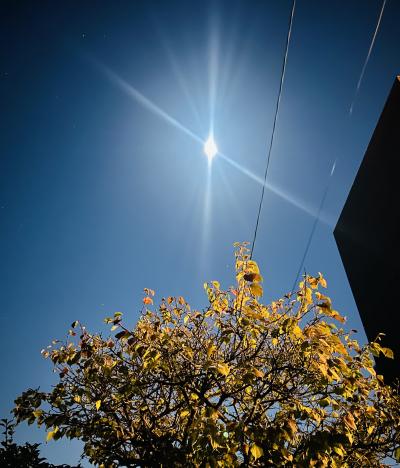 不思議🌙* :ﾟ 慶次 (46) 三重県（出張性感マッサージ