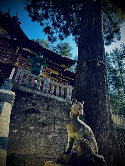 Hiro (48) 横浜 萬天堂 / 出張性感マッサージ