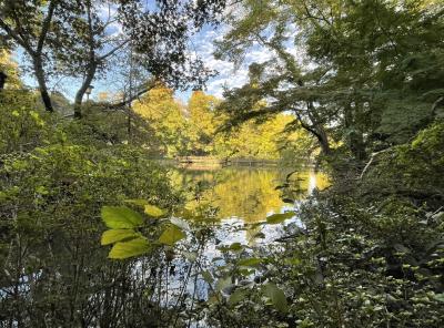 移動支援 蔵人 (33) 東京都（出張性感マッサージ