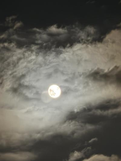 月が綺麗ですね！ RYU (40) 東京都（出張性感マッサージ