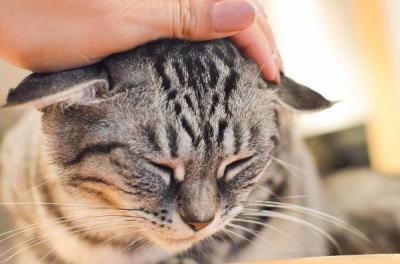 無題 MIYABI (40) 長野県（出張性感マッサージ