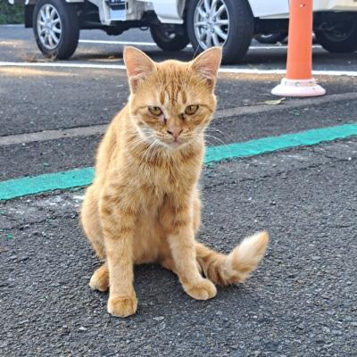 カズマル (52) 浜松 萬天堂 / 出張性感マッサージ