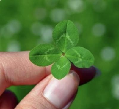 然 (41) 千葉 萬天堂 / 出張性感マッサージ