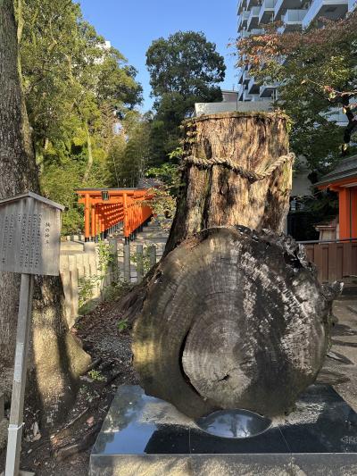 左近 (56) 京都 萬天堂 / 出張性感マッサージ