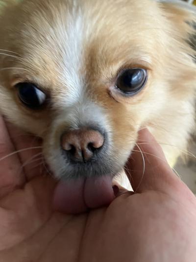 性病検査すべて陰性🙆 とも (32) 京都府（出張性感マッサージ