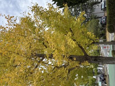 寒くなってのでお体に気をつけてください🥰 愛斗 (30) 愛媛県（出張性感マッサージ