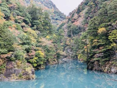 狐空 (27) 東京 萬天堂 / 出張性感マッサージ