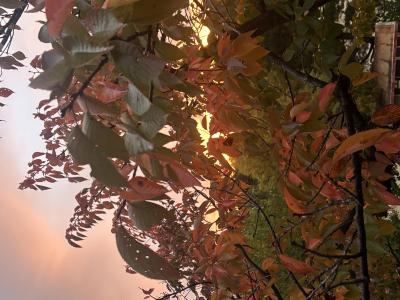 今日もお疲れ様でした✨ レイン (29) 大阪府（出張性感マッサージ