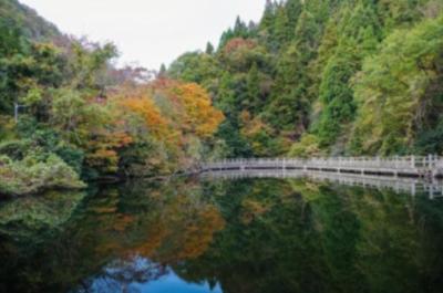 かおる (37) 広島 萬天堂 / 出張性感マッサージ