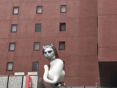 タカシ (46) 高松 萬天堂 / 出張性感マッサージ