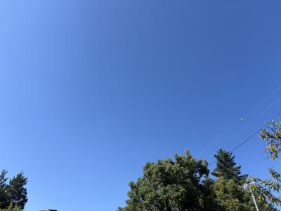 おはようございます☀️ レイン (29) 大阪府（出張性感マッサージ