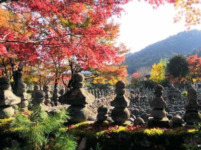 閑居して不善をなす 静 (60) 愛知県（出張性感マッサージ