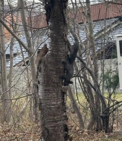 KAZUYA (43) 帯広 萬天堂 / 出張性感マッサージ