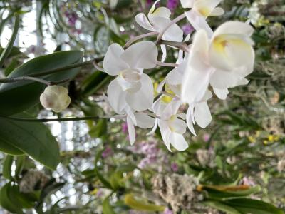 いやなことがあったら たつき (30) 千葉県（出張性感マッサージ