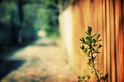 龍生 (47) 大宮 萬天堂 / 出張性感マッサージ