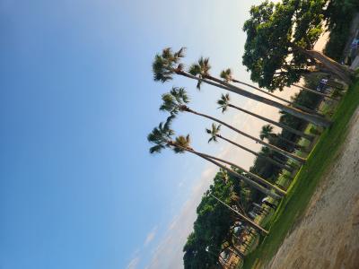 To-ji (32) 沖縄 萬天堂 / 出張性感マッサージ