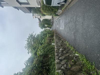 竜胆 (49) 東京 萬天堂 / 出張性感マッサージ