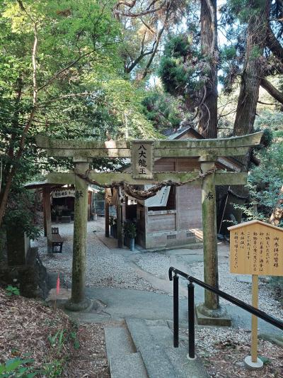 🍁秋の深まりとともに…🍁 勇兎 (37) 福岡県（出張性感マッサージ