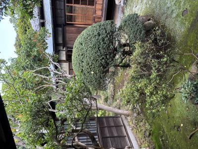 エイチ (44) 大宮 萬天堂 / 出張性感マッサージ