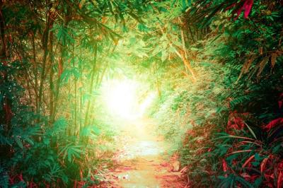 龍生 (47) 大宮 萬天堂 / 出張性感マッサージ